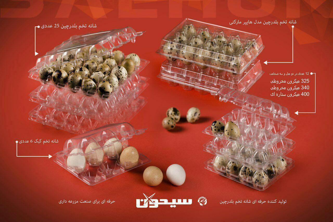  شانه هایپر مارکتی تخم بلدرچین15 عددی