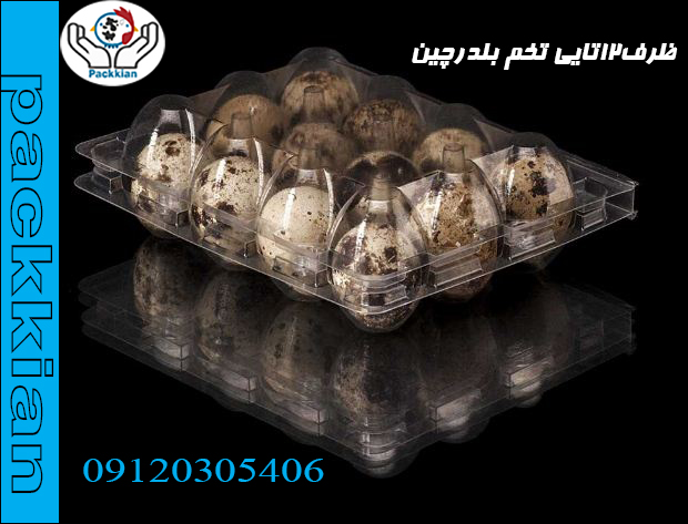 شانه 12عددی بلدرچین