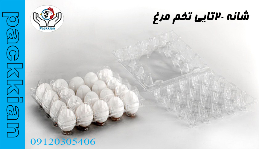 شانه 20عددی تخم مرغ